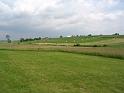 IMG_0506