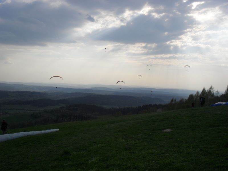 sdc11137.jpg