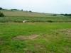 dsc01357__t1.jpg