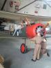 snc00056_t1.jpg
