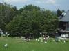 dscf0174_t1.jpg