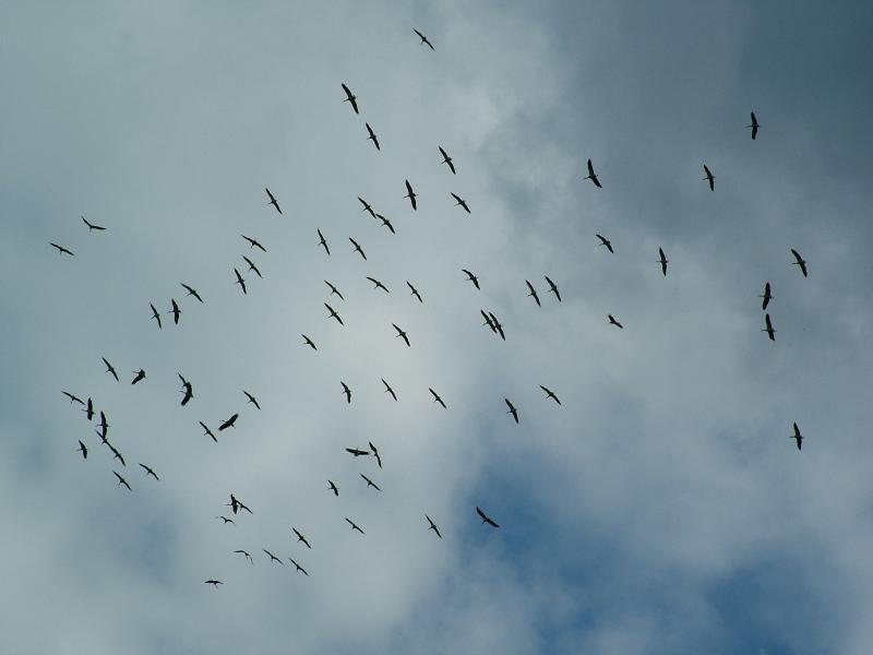 dscf9061.jpg