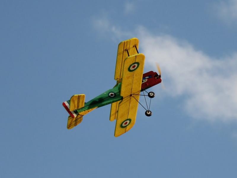 img_3969.jpg
