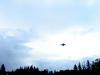 dsc02483__t1.jpg