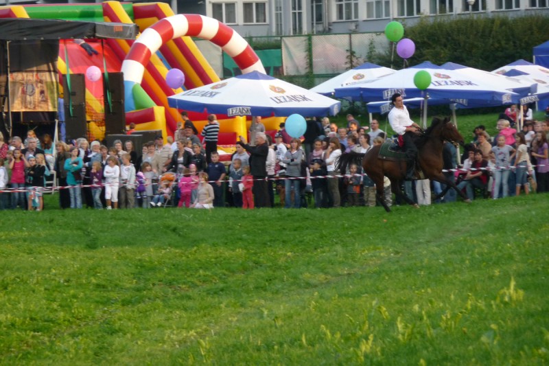 p1090416_.jpg