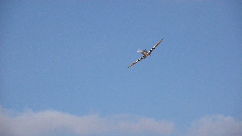 spitfire_7_.jpg