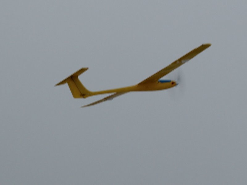 img_7933.jpg