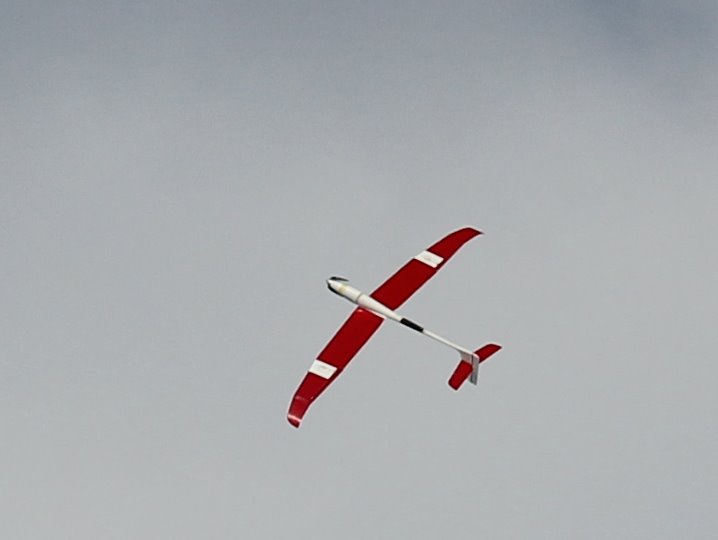 img_7977.jpg