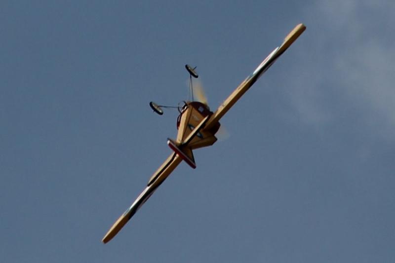 img2.jpg