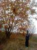 dsc00215__t1.jpg