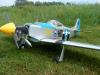 dsc00662_t1.jpg