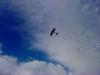 dsc00671_t1.jpg