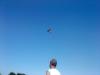 dsc01117_t1.jpg