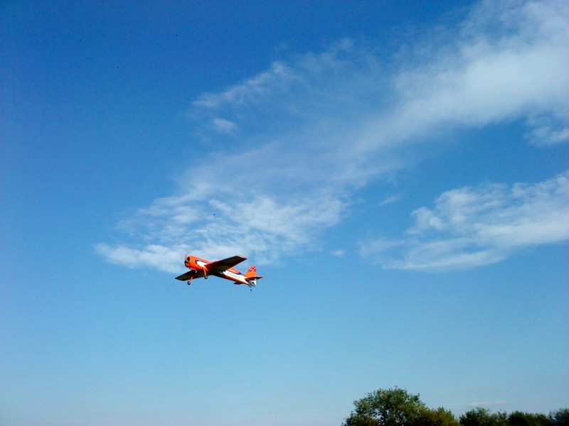 dsc01165.jpg