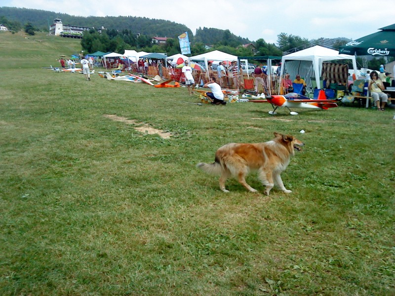 dsc01723.jpg