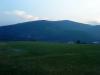 dsc01765_t1.jpg
