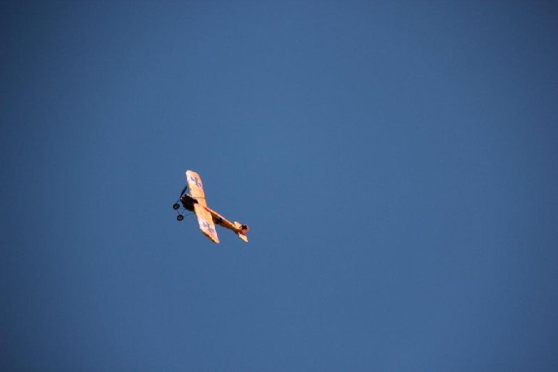 img_8565.jpg
