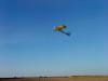 dsc03276_t1.jpg