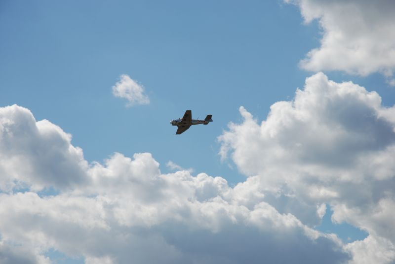 dsc_0062.jpg