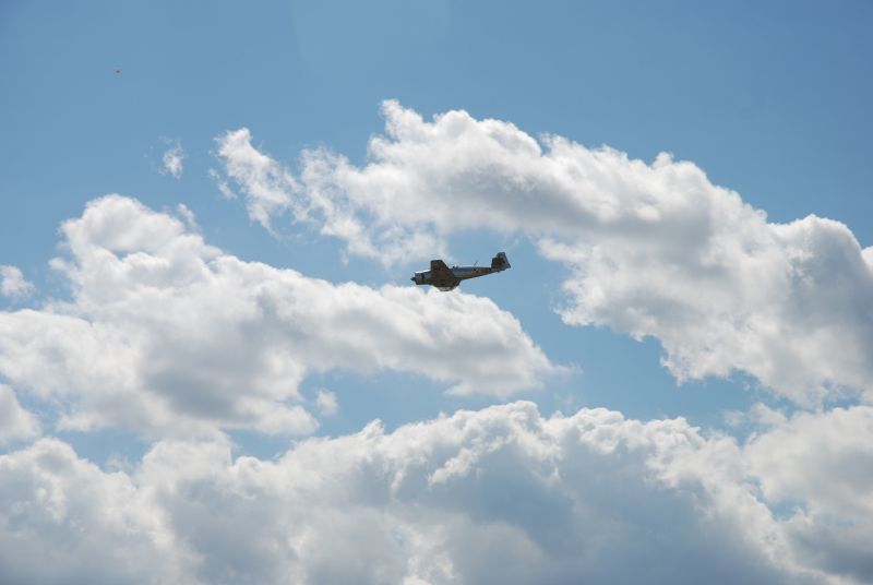 dsc_0063.jpg