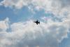 dsc_0110_t1.jpg