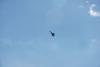 dsc_0117_t1.jpg