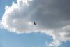 dsc_0137_t1.jpg