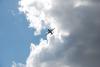 dsc_0139_t1.jpg