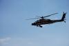 dsc_0159_t1.jpg