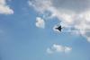 dsc_0166_t1.jpg