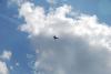 dsc_0169_t1.jpg