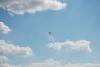dsc_0175_t1.jpg