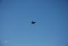 dsc_0205_t1.jpg
