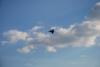 dsc_0212_t1.jpg