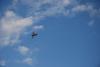 dsc_0216_t1.jpg