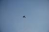 dsc_0234_t1.jpg