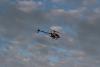 img_9351_t1.jpg