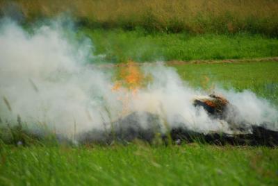 dsc_0974_resize.jpg