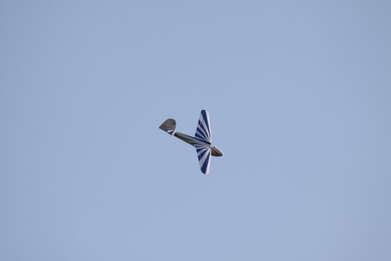 img_3639.jpg