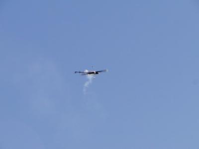 plock27.jpg