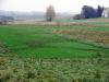 dsc01566_t1.jpg