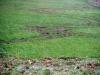 dsc01567_t1.jpg